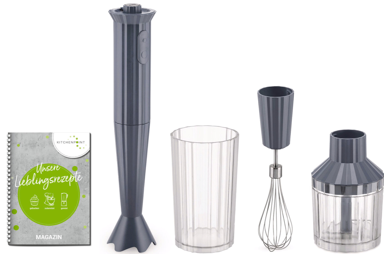 Alessi Plissé Stabmixer Set Grau Alessi Plissé Stabmixer Set Grau